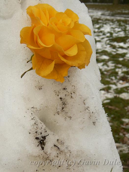 Snow sculpture, Winter, Hampstead Heath P1070495.JPG